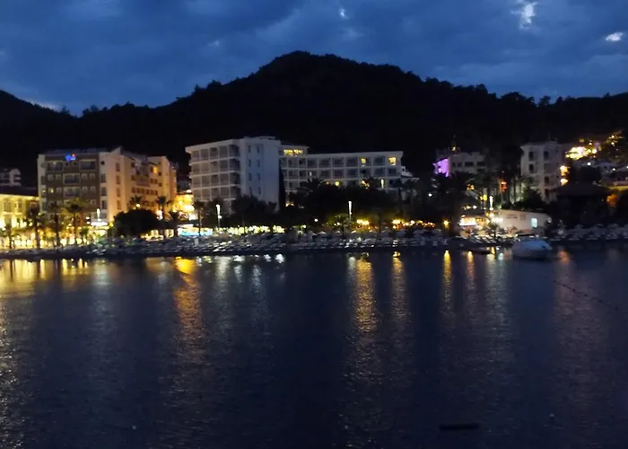 Tropical マルマリス