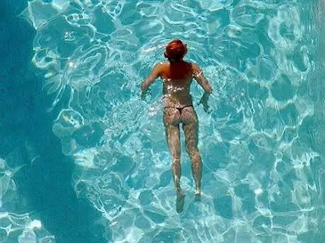 Tropical マルマリス